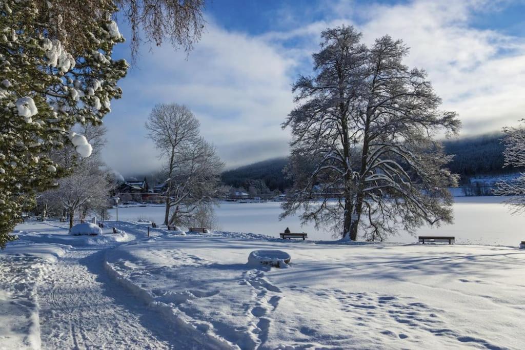 Waldtwin 2 Titisee Eksteriør bilde