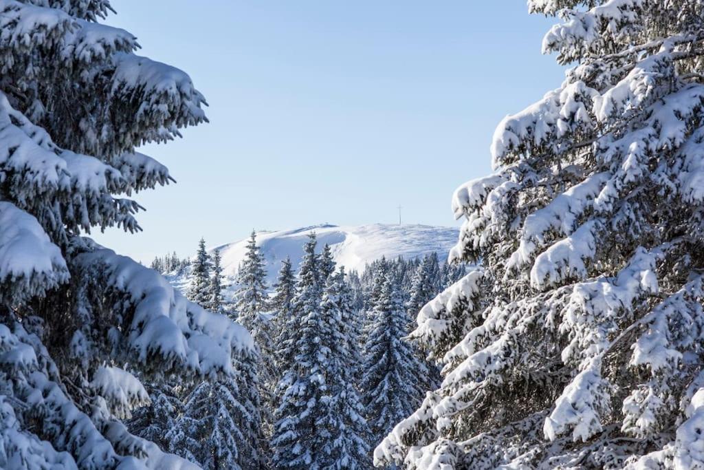 Waldtwin 2 Titisee Eksteriør bilde