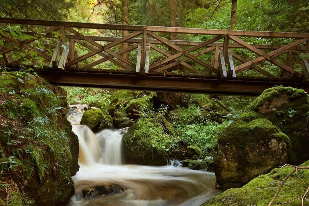 Waldtwin 2 Titisee Eksteriør bilde