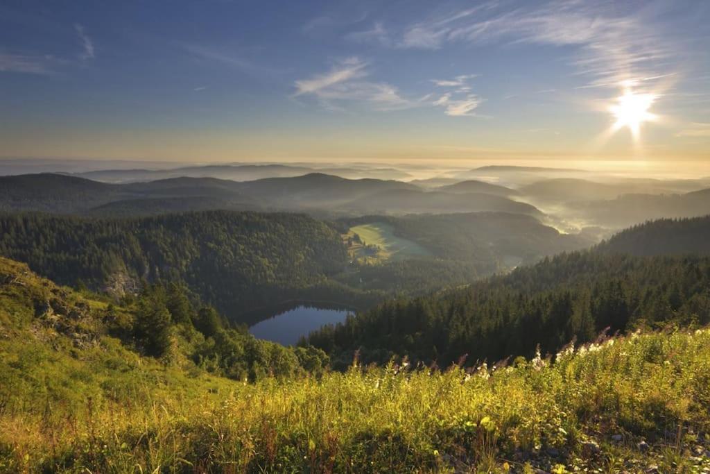 Waldtwin 2 Titisee Eksteriør bilde