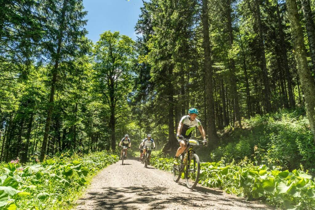 Waldtwin 2 Titisee Eksteriør bilde